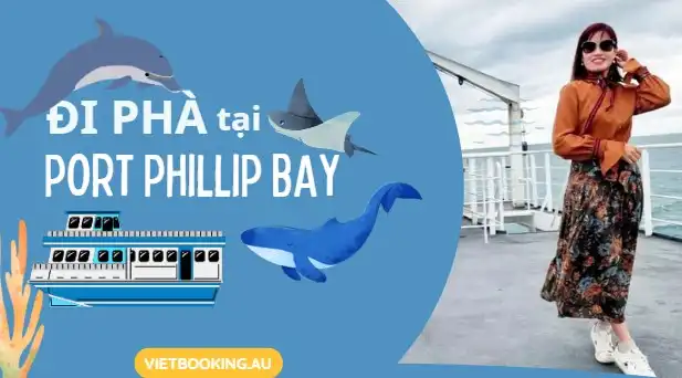 Đi Phà qua Vịnh biển -  Trải nghiệm đầy hứng khởi tại Vịnh Port Phillip